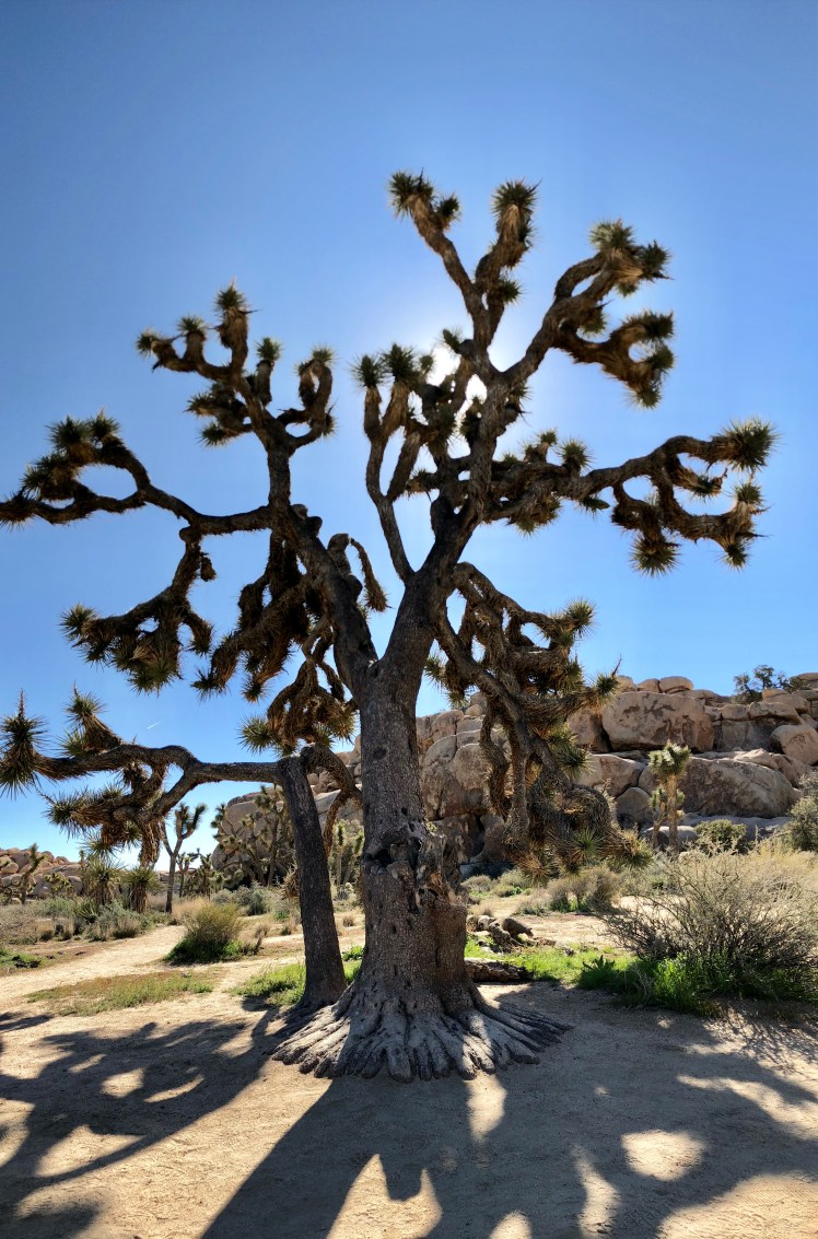 E375DFDF-577B-49FE-BA67-61142731A4E9